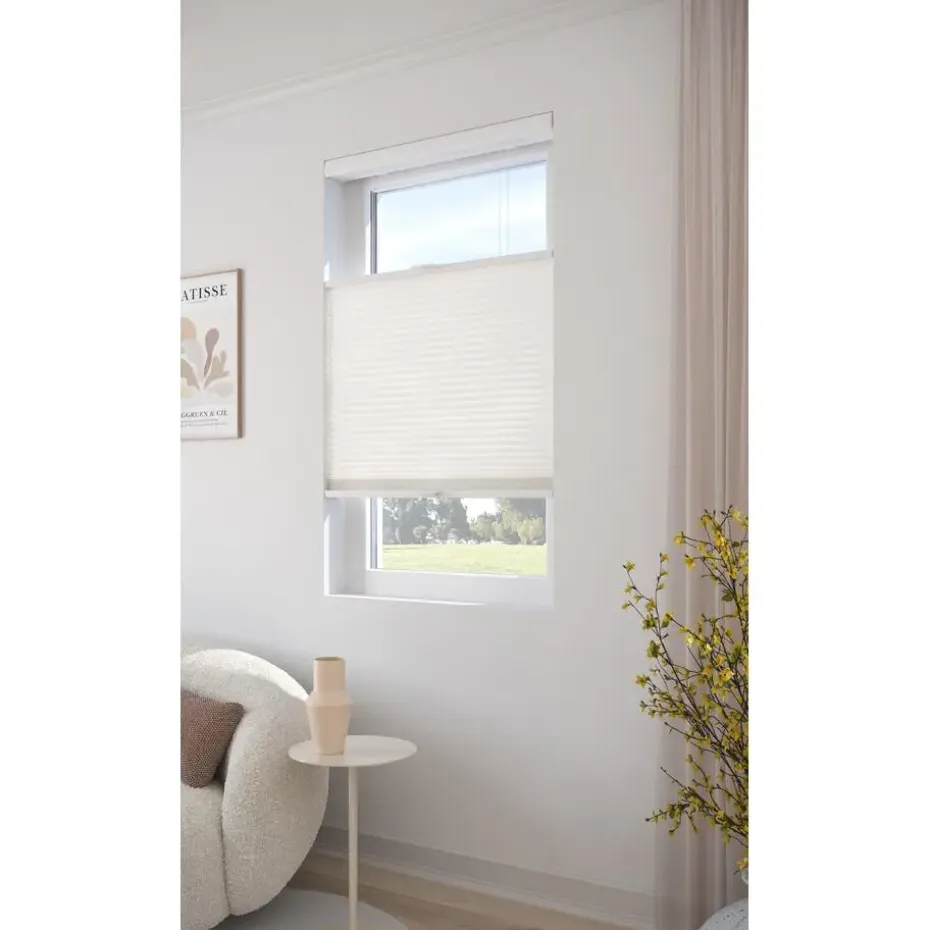 Fenstr Dubbel Plissé 45mm Lotte Wit Lichtdoorlatend