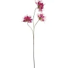 Kunstbloem Cleome Hassleriane Roze