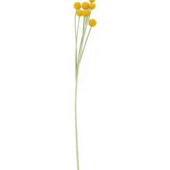 Kunstbloem Craspedia Geel