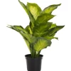 Kunstplant Calathea Rood/Groen