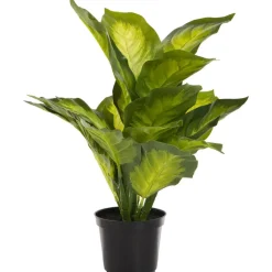 Kunstplant Calathea Rood/Groen