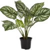 Kunstplant In Pot Diefenbachia Groen