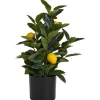 Kunstplant In Pot Paola Groen