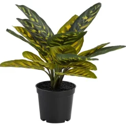 Kunstplant In Pot Pauwenplant Groen