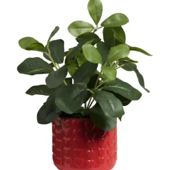 Kunstplant Stilo Rood/Groen