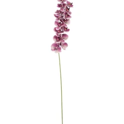 Kunsttak Orchidee Aubergine