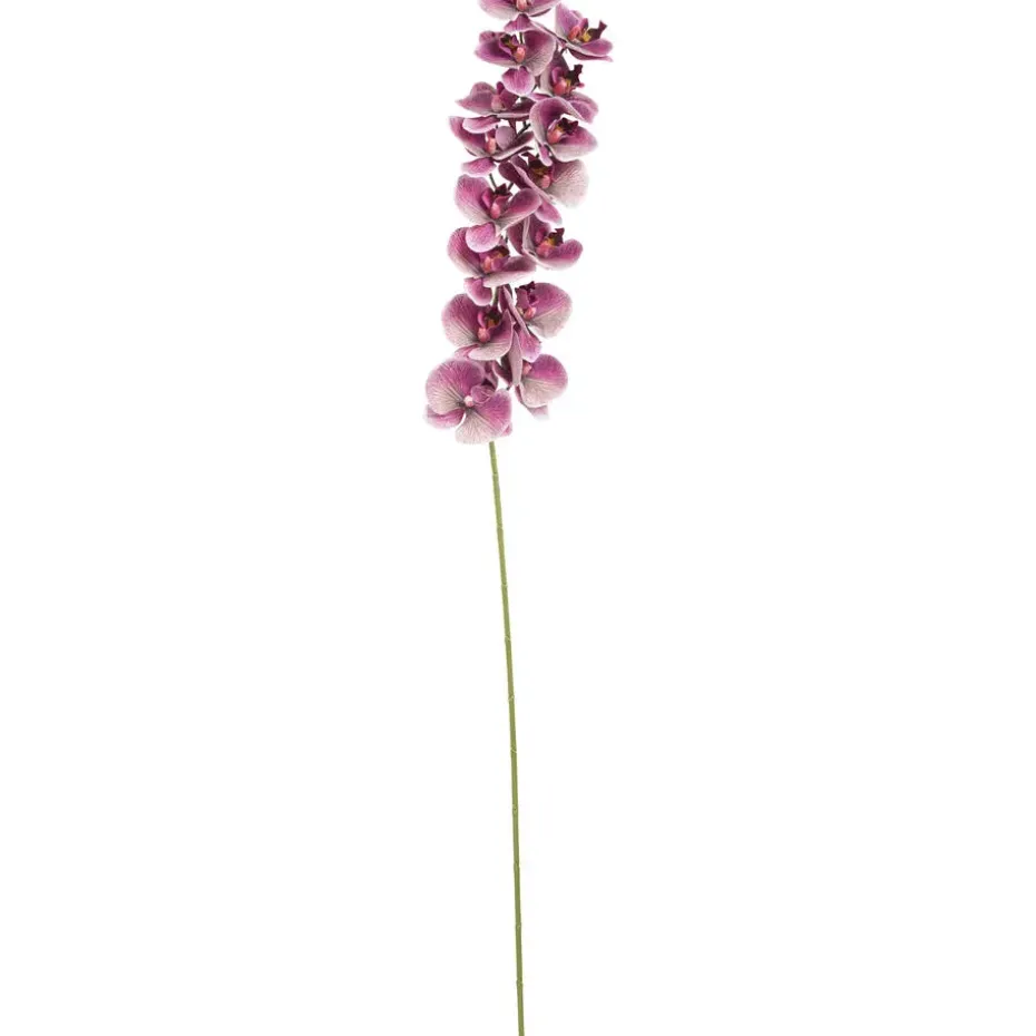 Kunsttak Orchidee Aubergine