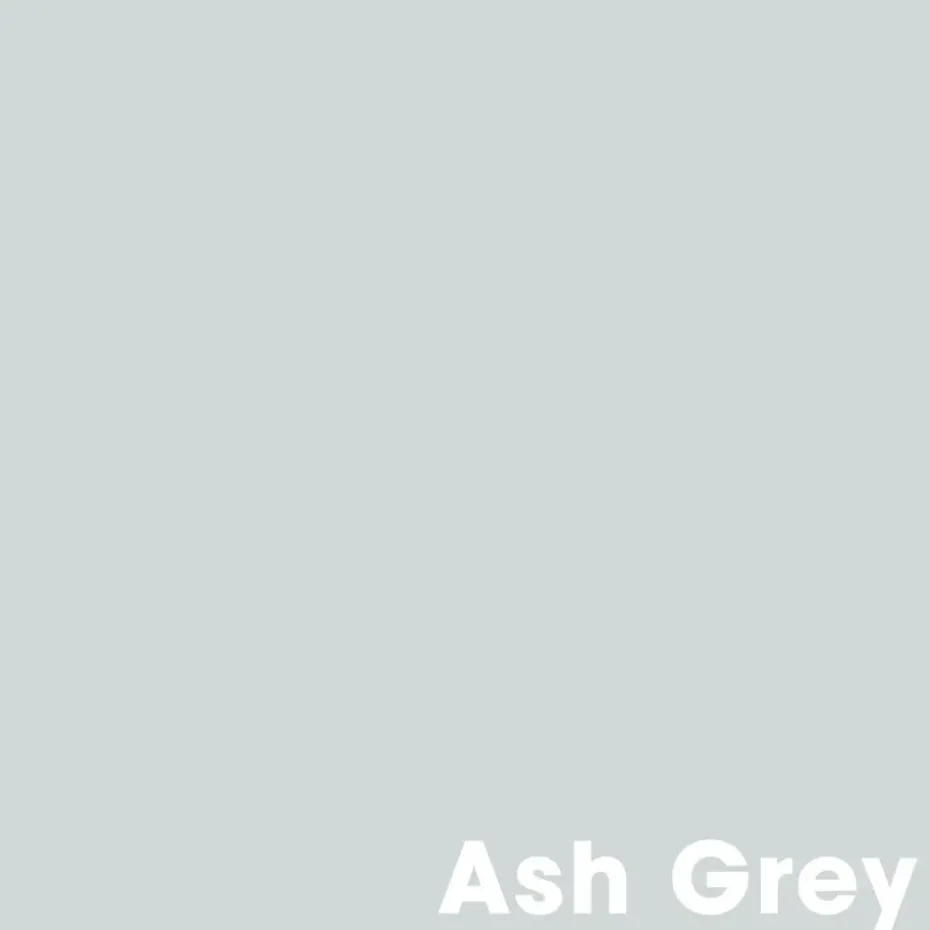 Muurverf Professional Ash Grey 1 l
