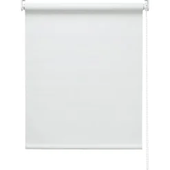 Rolgordijn Maaike Wit 60x190 cm