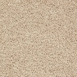 Staal Tapijt Anamosa Beige