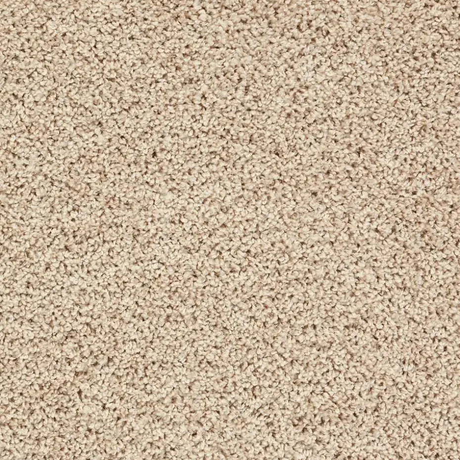 Staal Tapijt Anamosa Beige