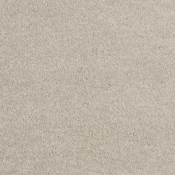 Staal Tapijt Canora Beige