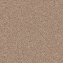 Staal Tapijt Cornell Beige