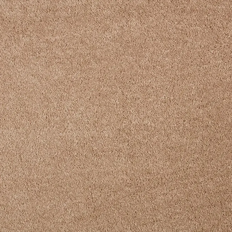 Staal Tapijt Leetsdale Licht Bruin