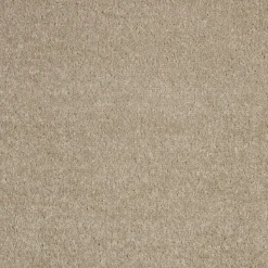 Staal Tapijt Parker Beige