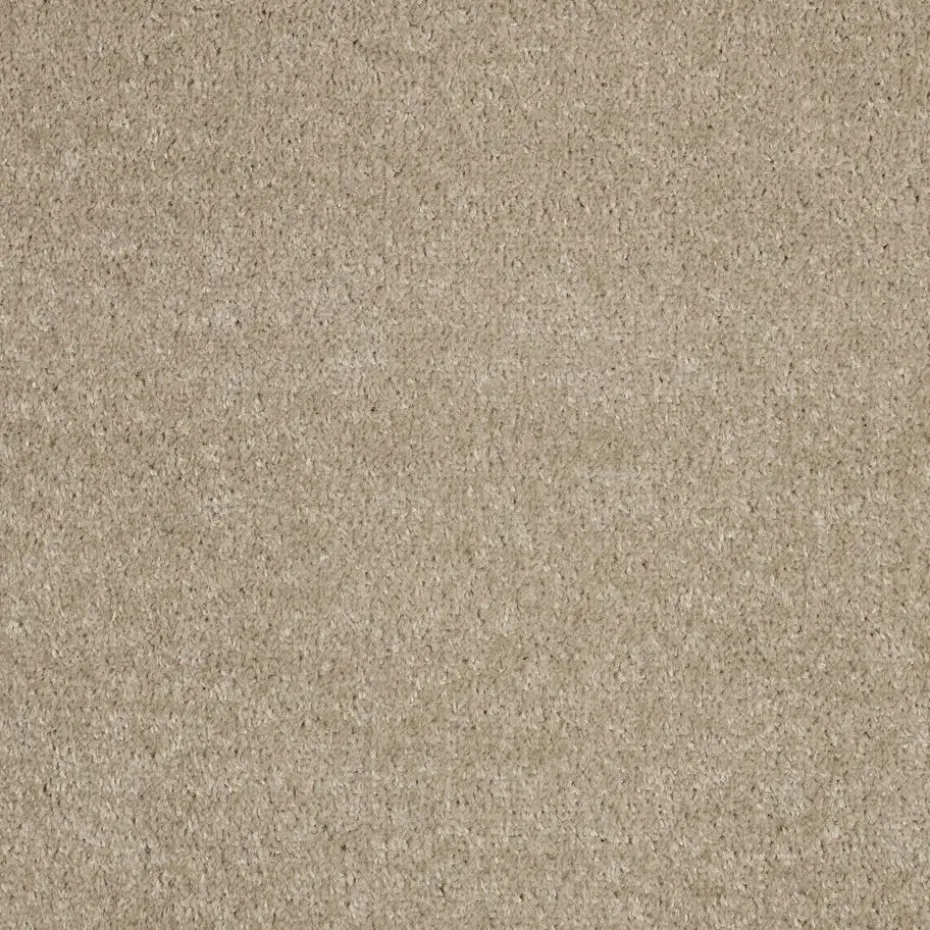 Staal Tapijt Parker Beige