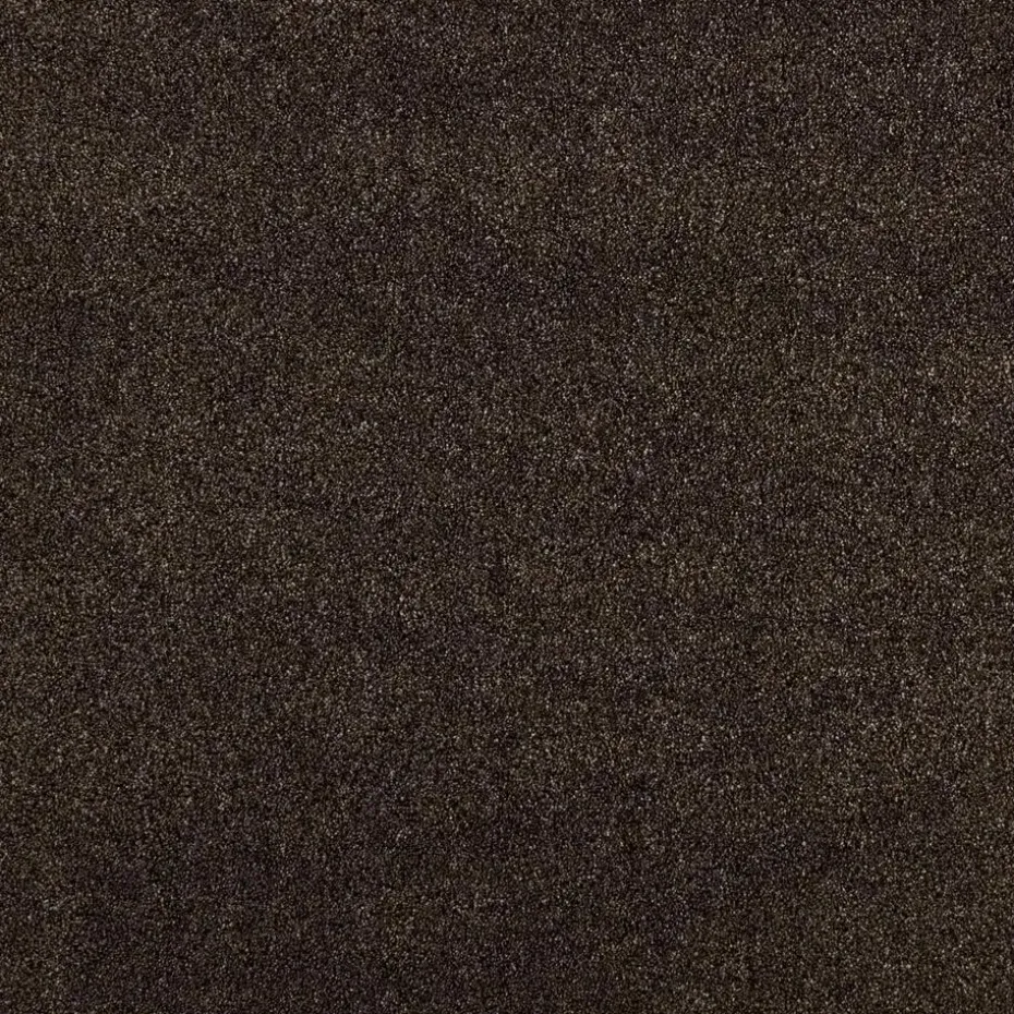 Staal Tapijt Peetz Bruin