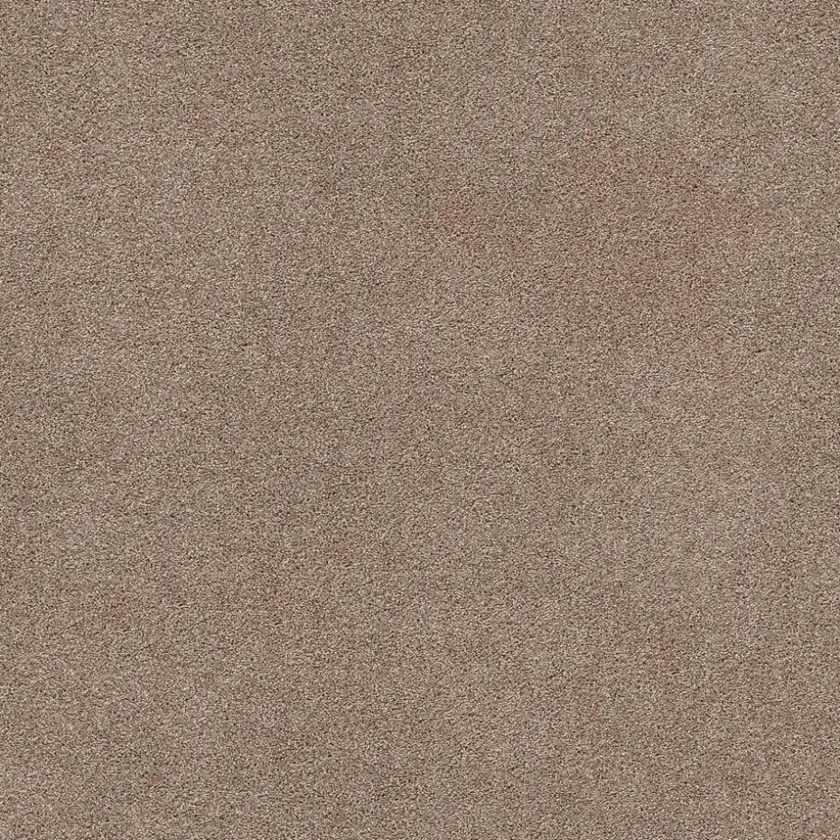 Tapijt Leetsdale Beige