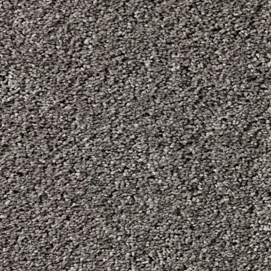 Tapijt Leetsdale Grijs