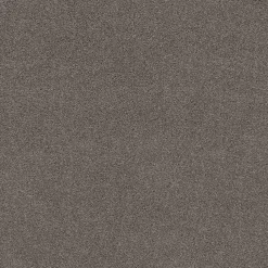 Tapijt Leetsdale Grijs