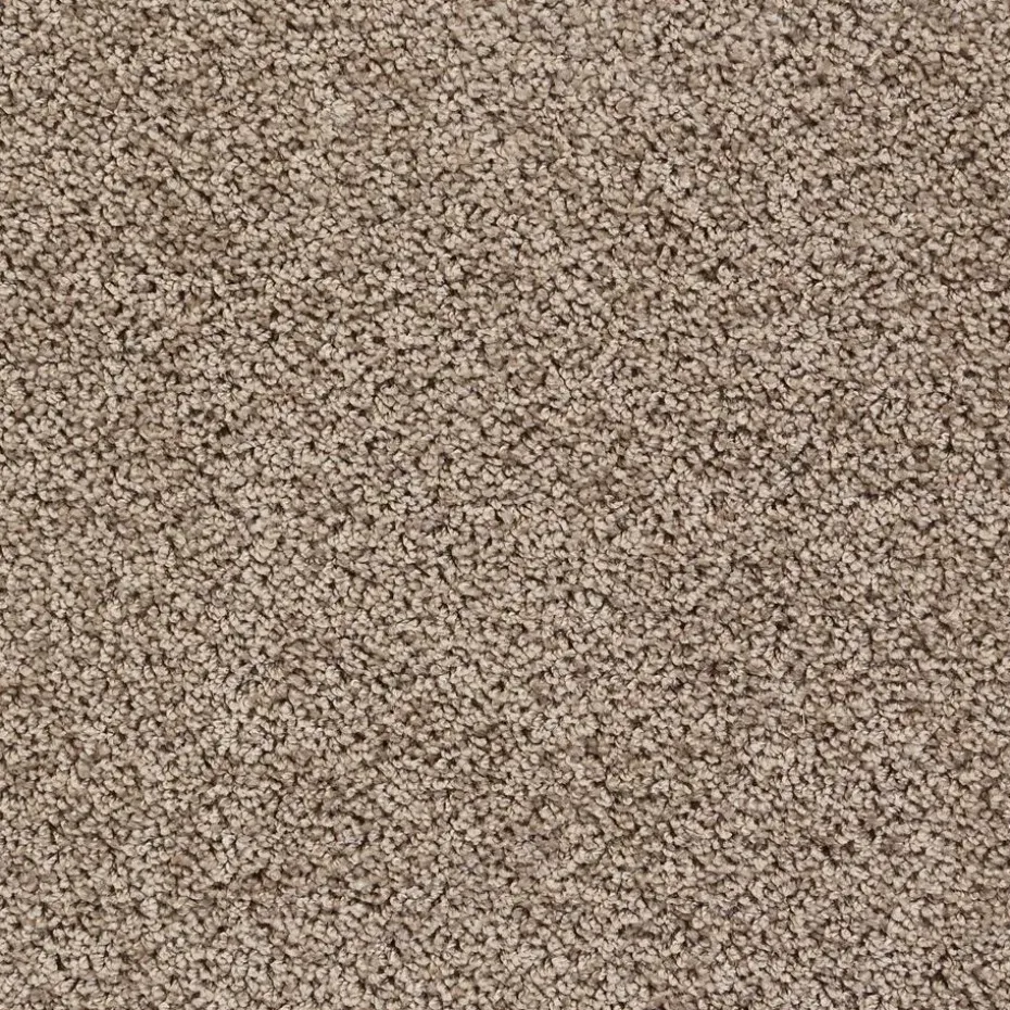 Tapijt Marvell Taupe