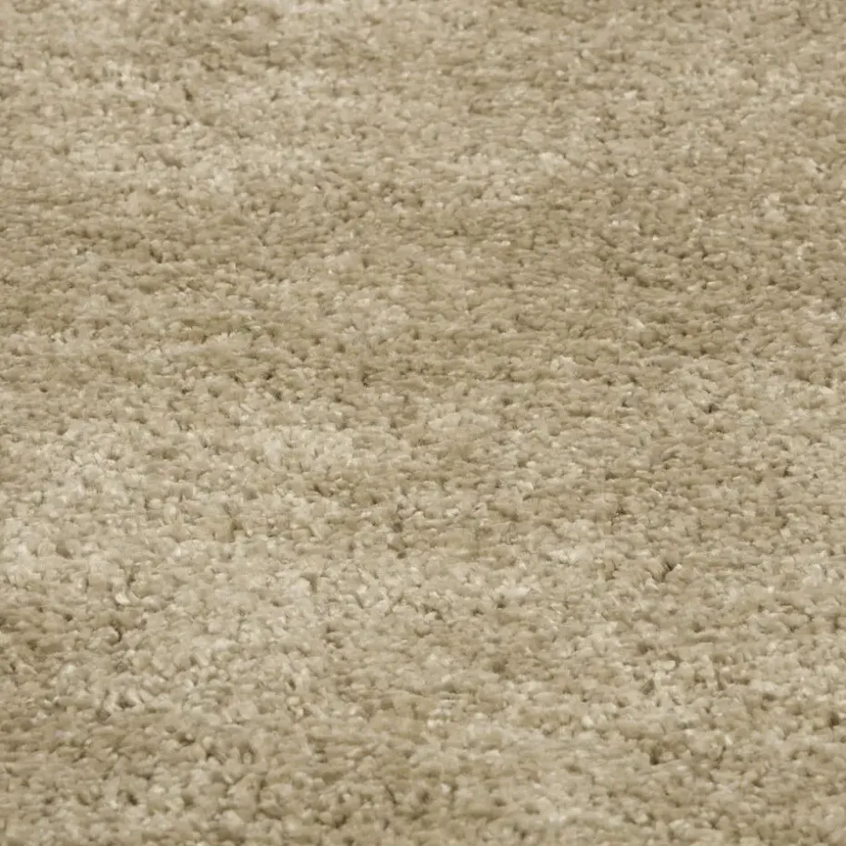 Vloerkleed Velva Beige 200x290 cm